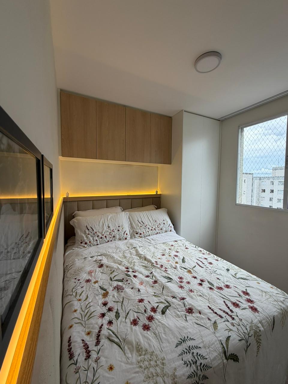 WhatsApp Image 2026-02-11 at 17.12.51 (1)