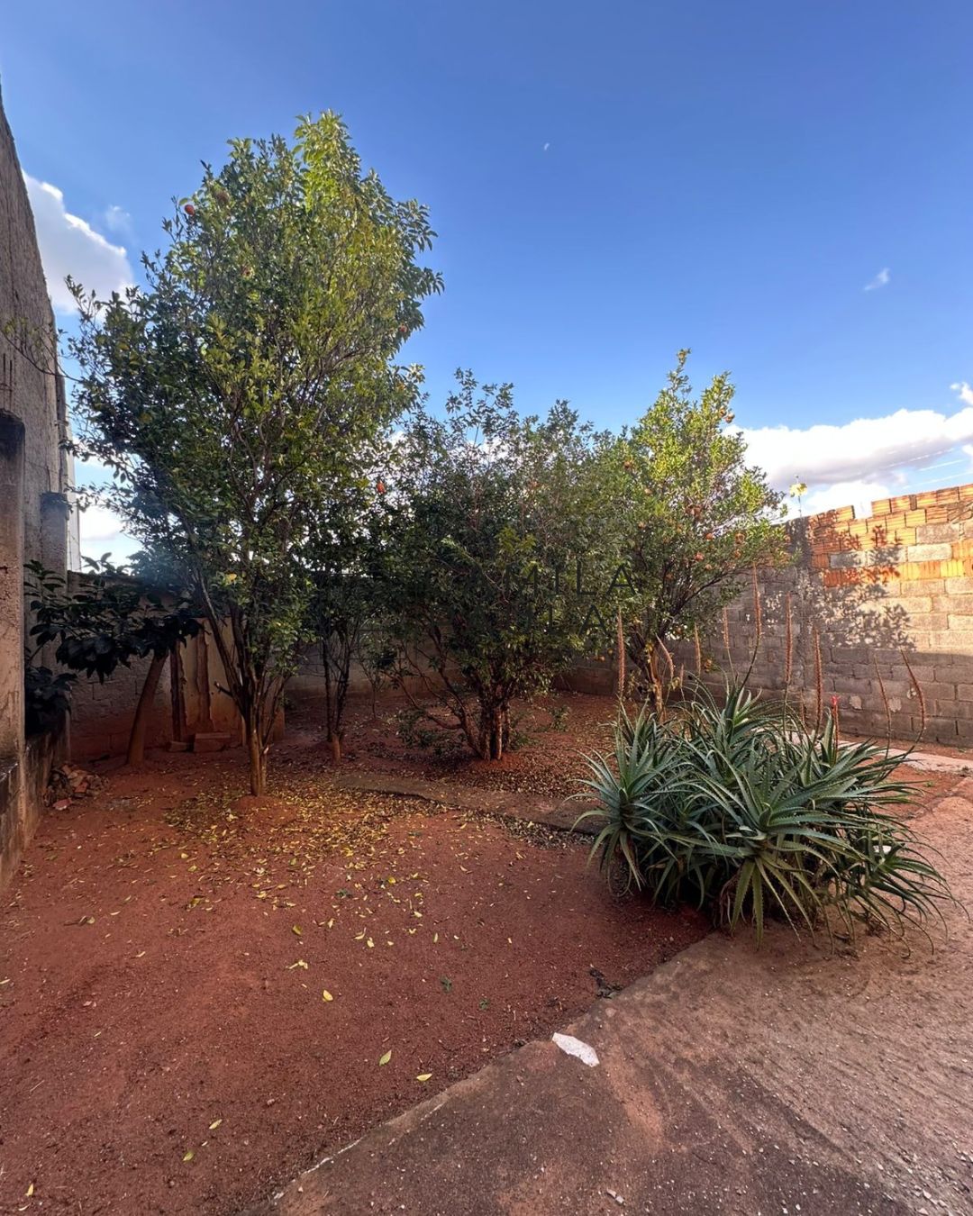 WhatsApp Image 2026-02-23 at 12.15.21