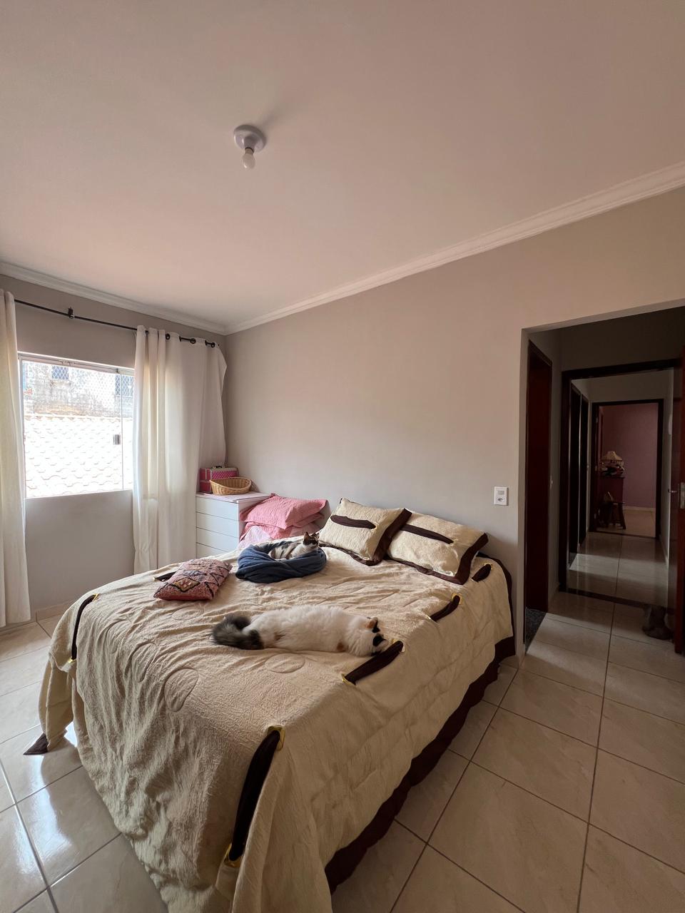 WhatsApp Image 2026-03-01 at 18.07.05